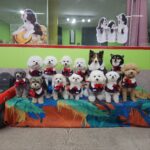 KakaoTalk_20250601_232628136_11