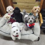 KakaoTalk_20250601_232637358_13