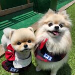 KakaoTalk_20250601_232637358_28