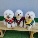 KakaoTalk_20250601_232641144_07