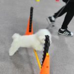 d_i01Ud018svcooa6958w5i1c_rtvpwh